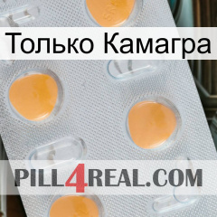 Только Камагра 24